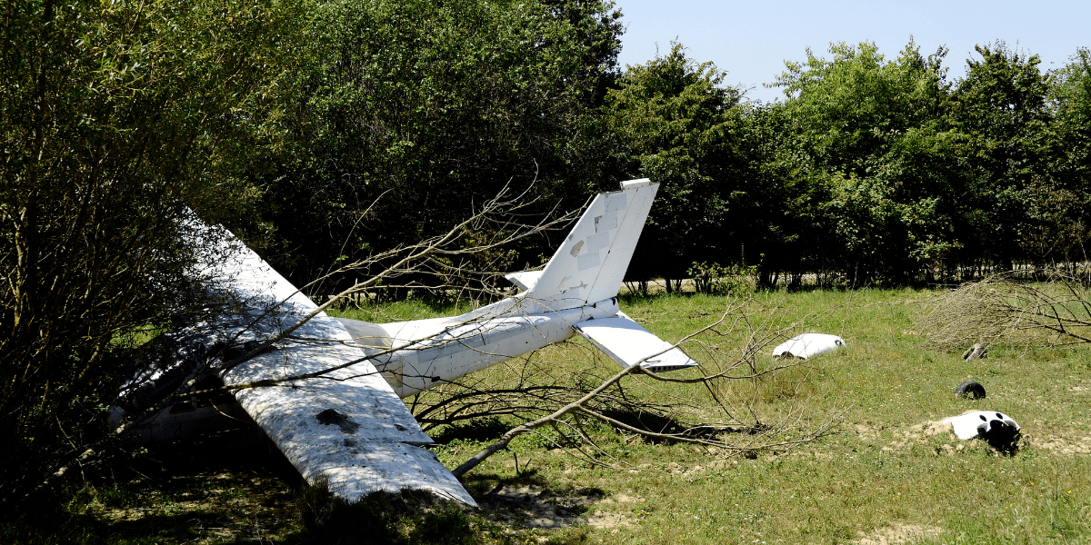 Abandoned white aircraft partially hidden by trees in a grassy field