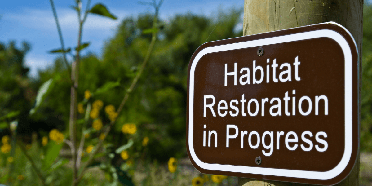 Brown sign on a post stating Habitat Restoration in Progress with greenery in background