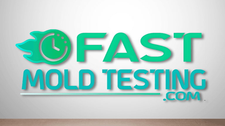 Logo for Fast Mold Testing with a clock and flame design.