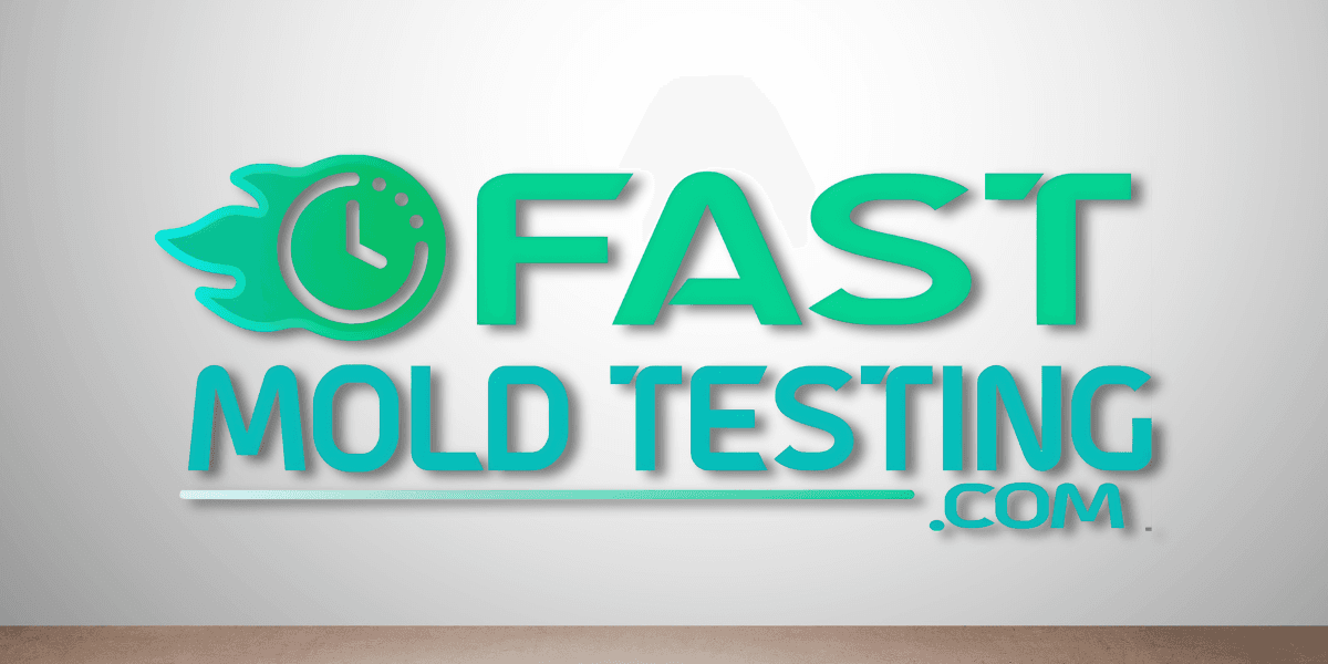 Logo for Fast Mold Testing with a clock and flame design.