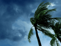 Tropical Storm Hernan Hawaii