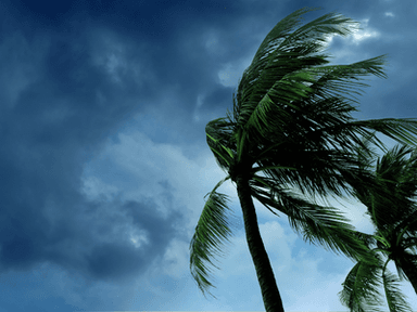 Tropical Storm Hernan Hawaii