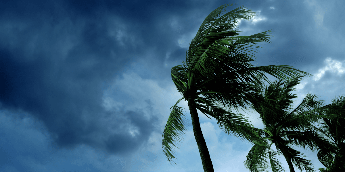 Tropical Storm Hernan Hawaii