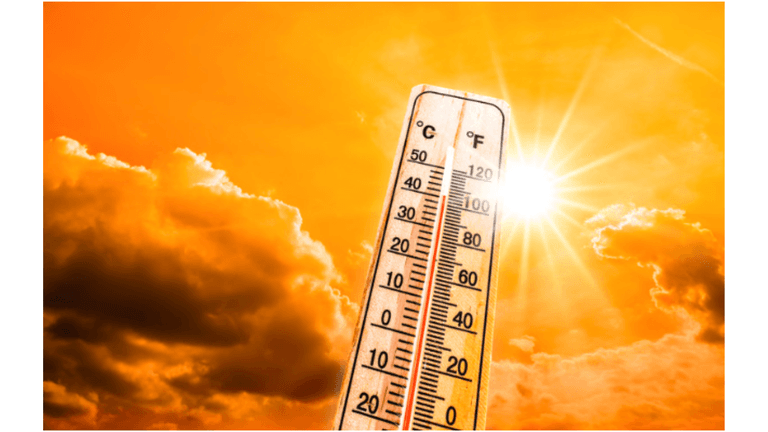 LA Schools Shut Down Due to Unprecedented Heatwave: Emergency Responses Implemented Citywide