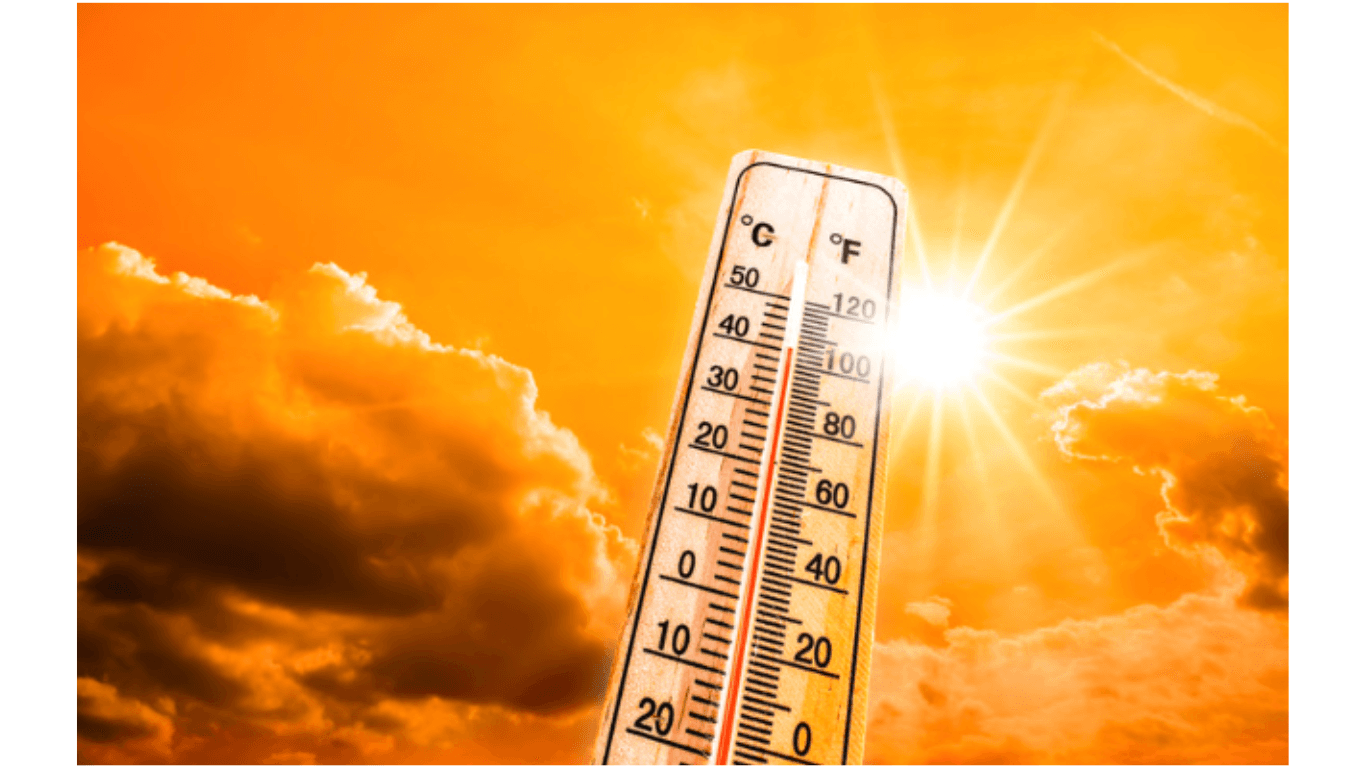 LA Schools Shut Down Due to Unprecedented Heatwave: Emergency Responses Implemented Citywide