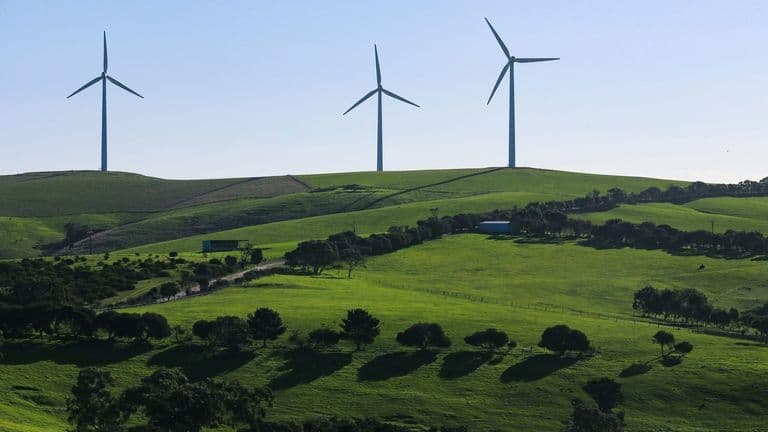 California Passes Sweeping Clean Energy Bill to Combat Climate Change