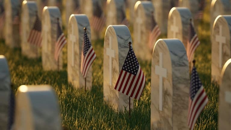 Los Angeles Honors Fallen Heroes with Memorial Day Flag Placement