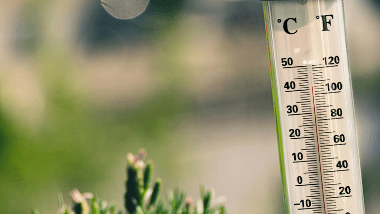 Los Angeles Expands Urban Cooling Network as Heat Risks Rise Across the U.S.