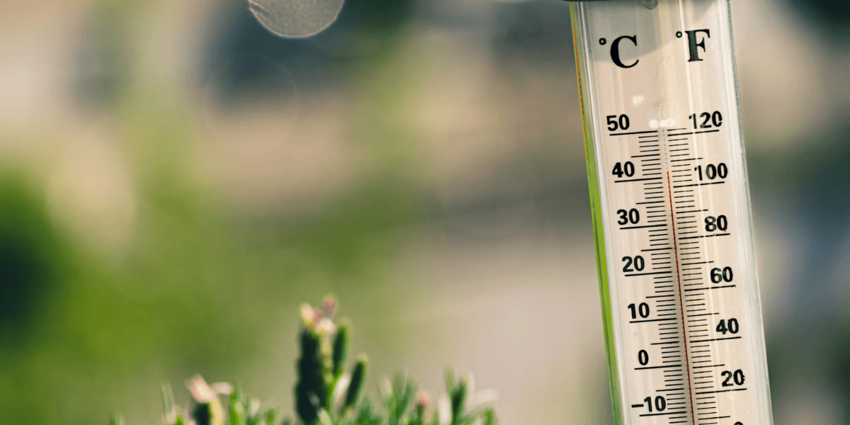 Los Angeles Expands Urban Cooling Network as Heat Risks Rise Across the U.S.