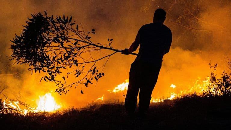 Baldy Fire Sparks Emergency Response in Los Angeles County Amidst Heightened Wildfire Season