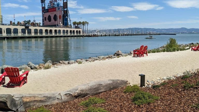 San Diego Waterfront Clean-Up Smashes Records, Sets Stage for Year-Round Action
