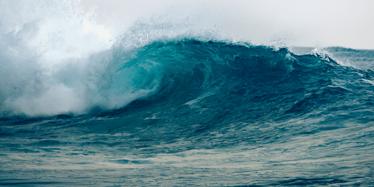 A crashing blue ocean wave with frothy white cresting foam against a calm sea
