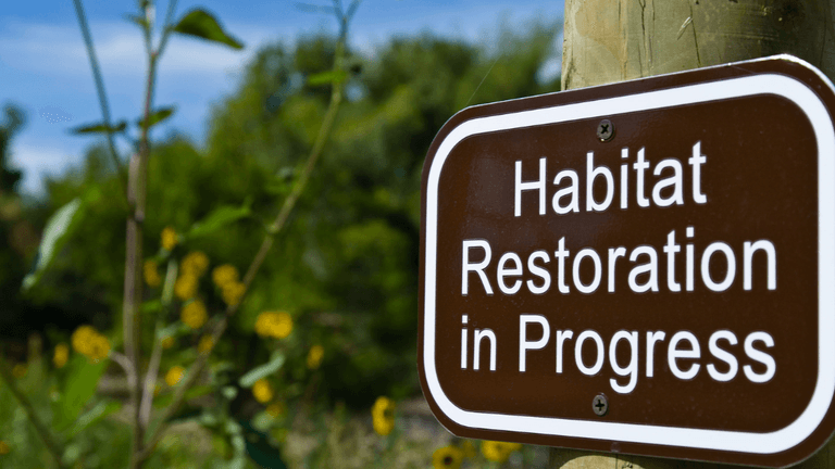 Brown sign on a post stating Habitat Restoration in Progress with greenery in background