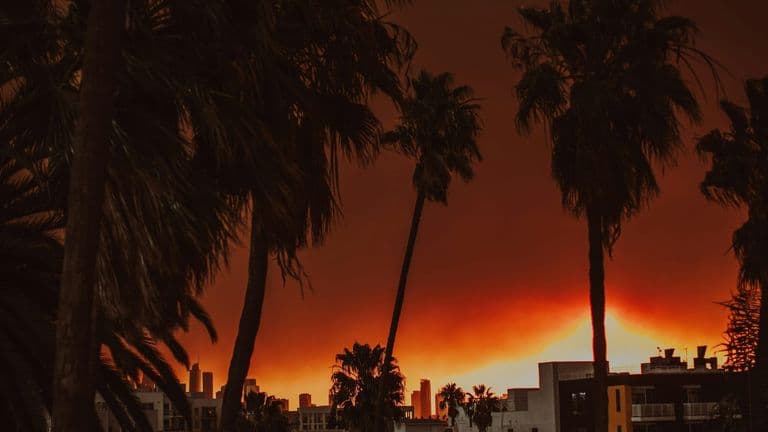 New Wildfires Emerge in Los Angeles County Amid Ongoing Fire Season