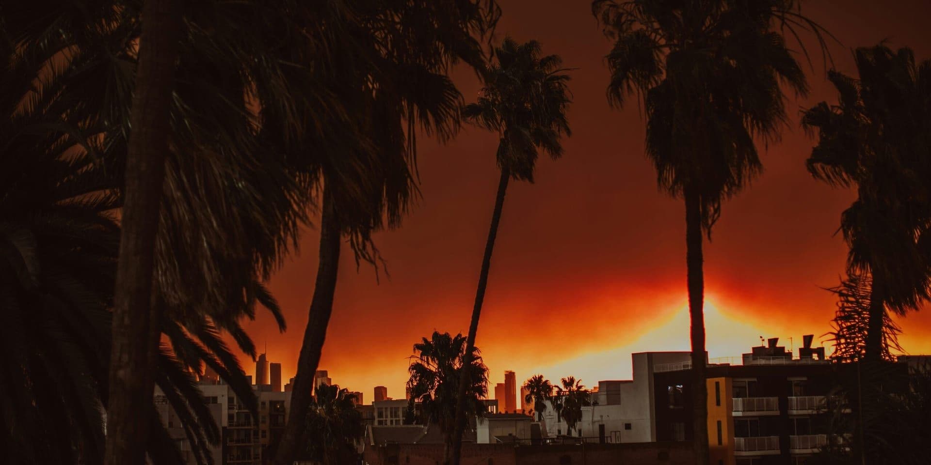 Wildfire Erupts in Los Angeles County Amid Ongoing Fire Season