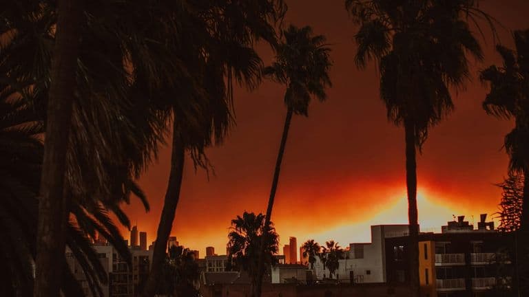 Wildfire Erupts in Los Angeles County Amid Ongoing Fire Season