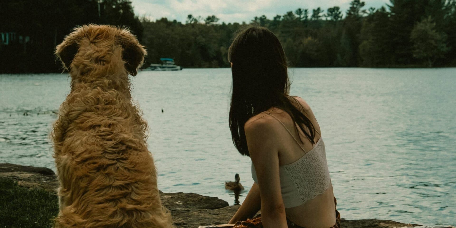 I Know What You Did Last Summer’ Reboot Set for July Release
