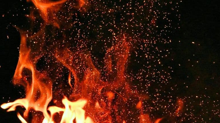 State of Emergency Declared in Los Angeles Amid Mount Wilson Blaze
