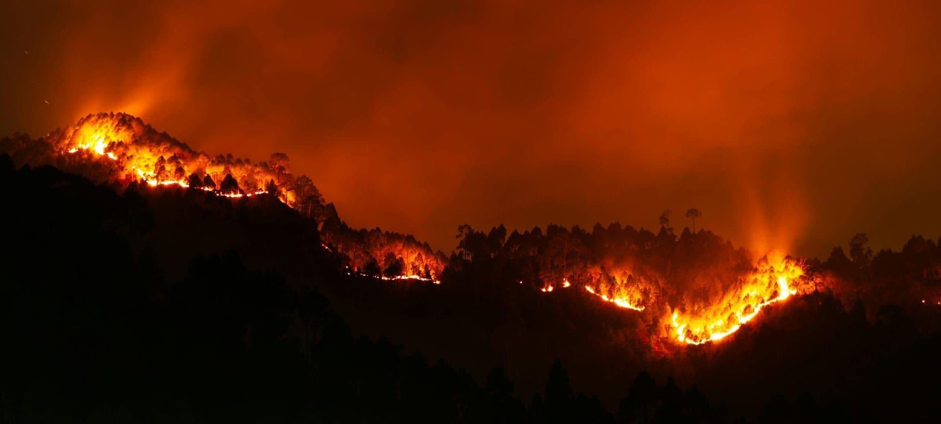 Los Angeles Faces Urgent Response Amid Unprecedented Wildfire Crisis in Southern California