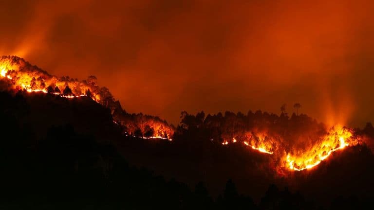 Los Angeles Faces Urgent Response Amid Unprecedented Wildfire Crisis in Southern California