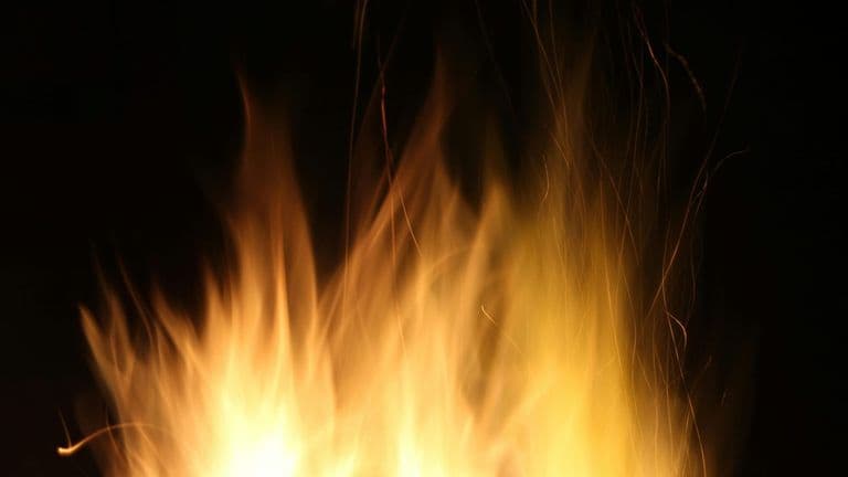 State of Emergency Issued in Los Angeles Due to Wildfire Risk at Griffith Park