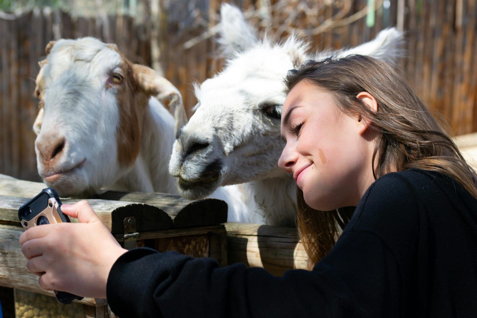 Los Angeles Zoo Reopens Following Successful Containment of Griffith Park Wildfire: Community Celebrates Recovery