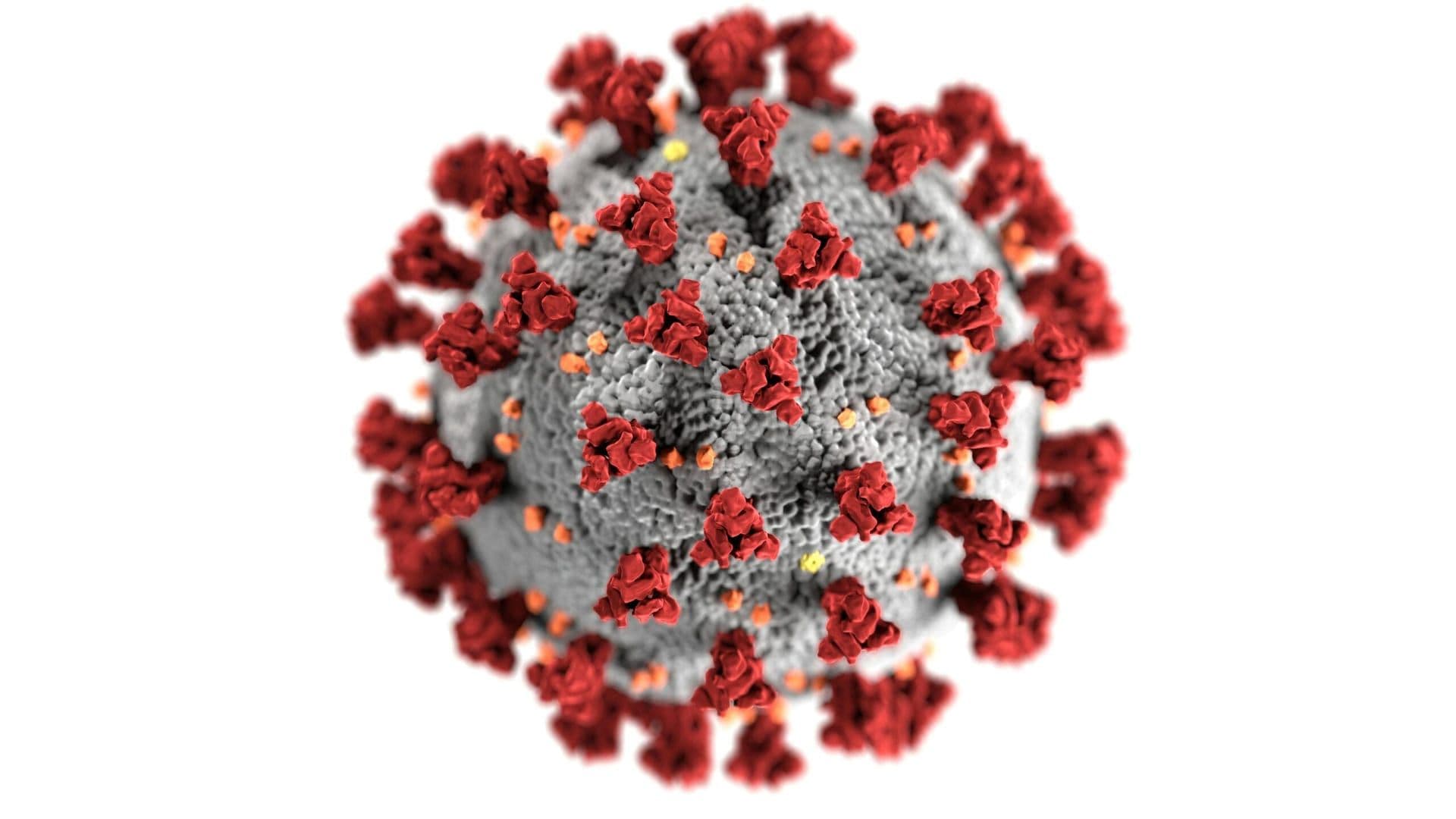 Los Angeles Issues Public Health Emergency Due to Surge in Rare Respiratory Virus Cases