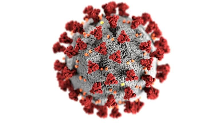 Los Angeles Issues Public Health Emergency Due to Surge in Rare Respiratory Virus Cases