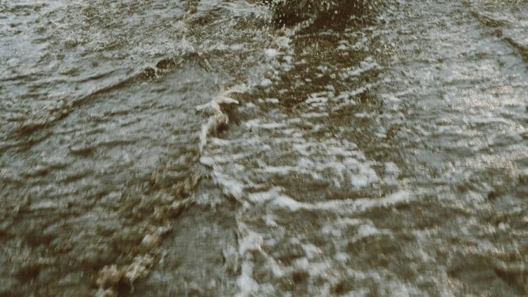 Los Angeles Issues State of Emergency Amidst Severe Flooding from Heavy Rainfall