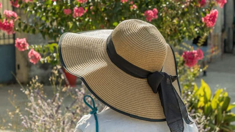 California Issues Heat Emergency for Independence Day Weekend as Los Angeles Reaches Record 115°F