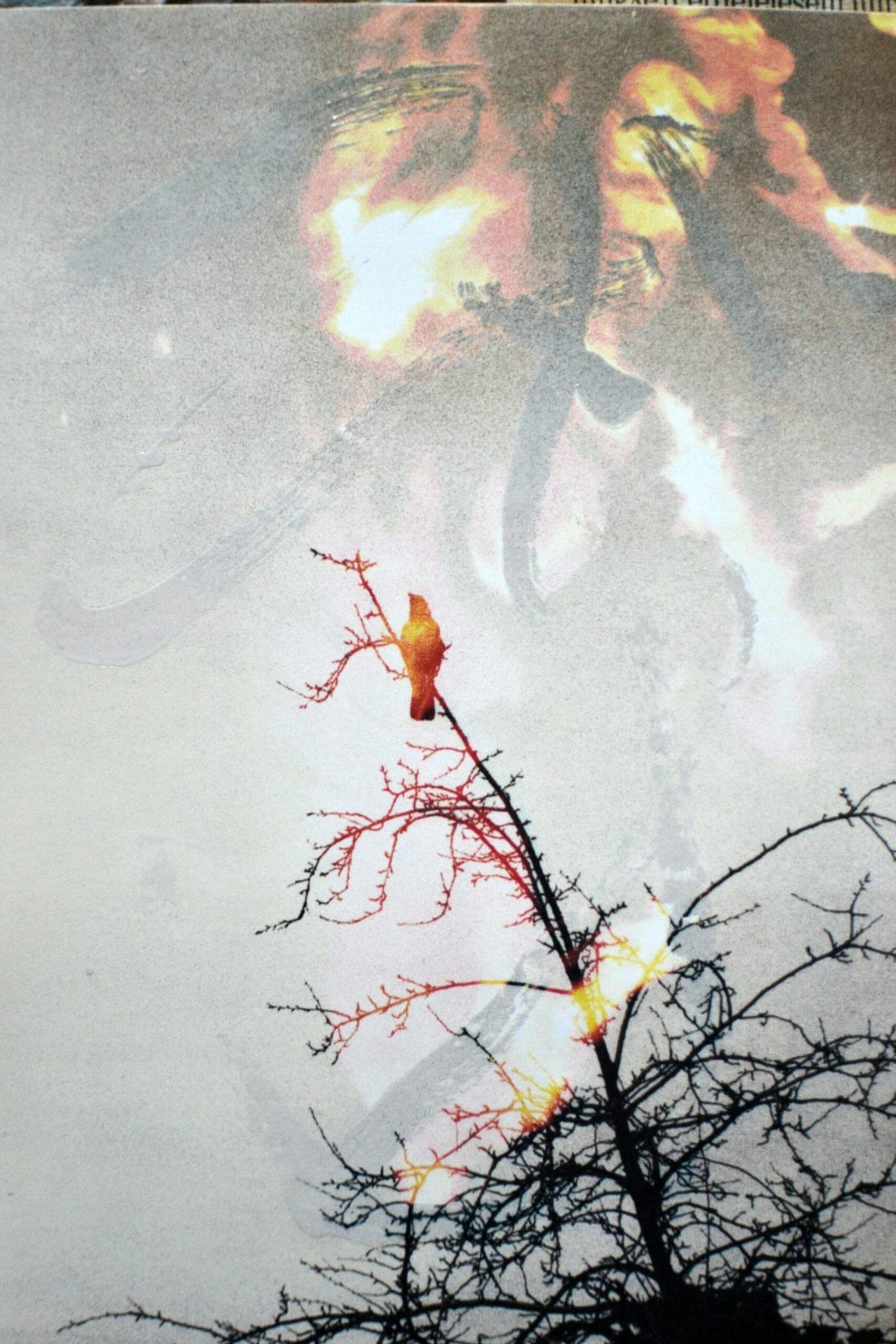 Griffith Park Wildfire Prompts Evacuations and Endangers Historic Landmarks