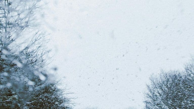 Los Angeles Issues State of Emergency Amid Unusual Winter Storm Impacting Southern California