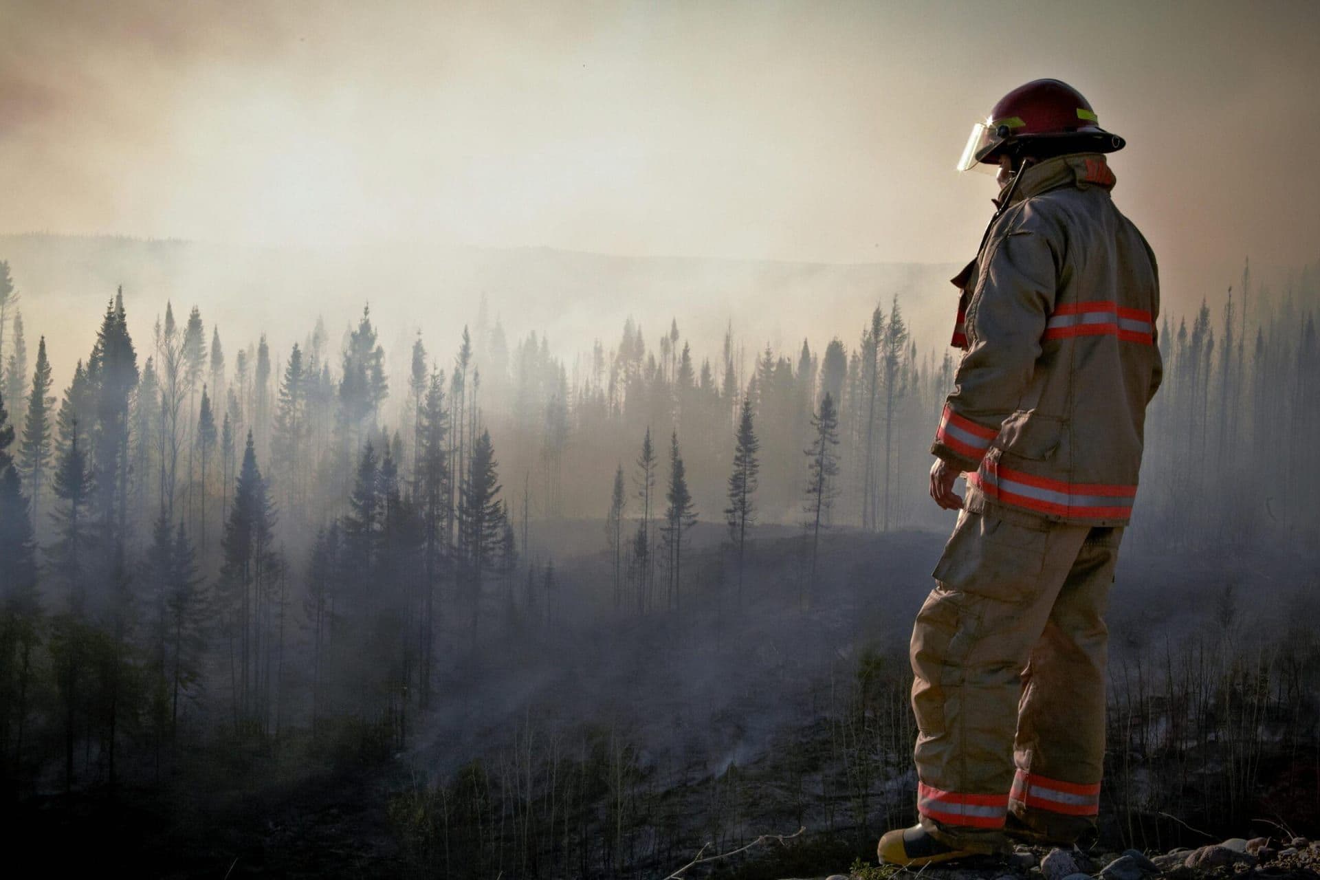 Angeles National Forest Wildfire Poses Risk to Los Angeles Communities