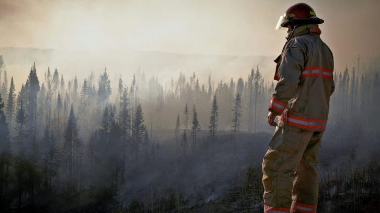 Angeles National Forest Wildfire Poses Risk to Los Angeles Communities