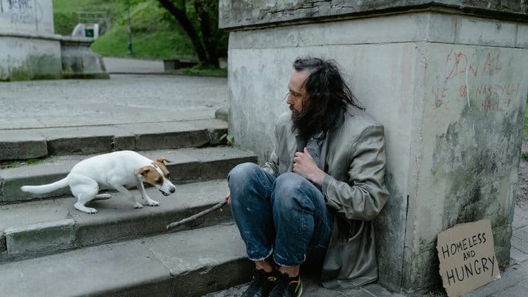 Los Angeles Faces Unprecedented Homelessness Challenge Amid Shelter Overcrowding