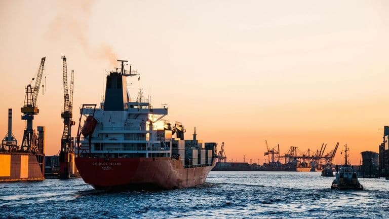 Significant Blaze Disrupts Shipping Activities at Port of Los Angeles