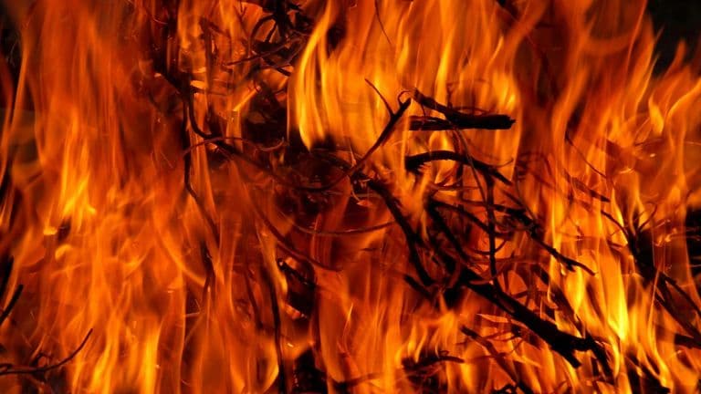 Los Angeles Issues State of Emergency Amid Escalating Southern California Wildfires