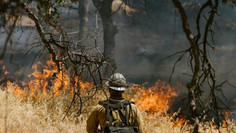Los Angeles Issues State of Emergency in Response to Urgent Wildfire Threats Near Southern Border
