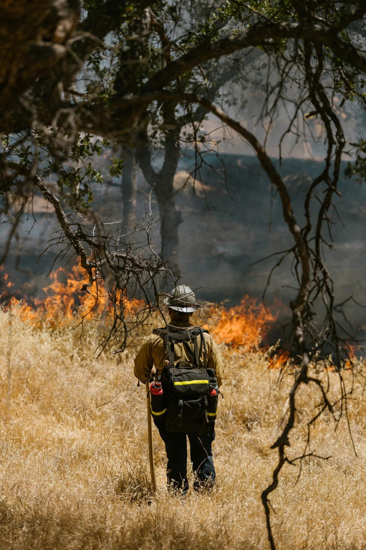 Los Angeles Issues State of Emergency in Response to Urgent Wildfire Threats Near Southern Border