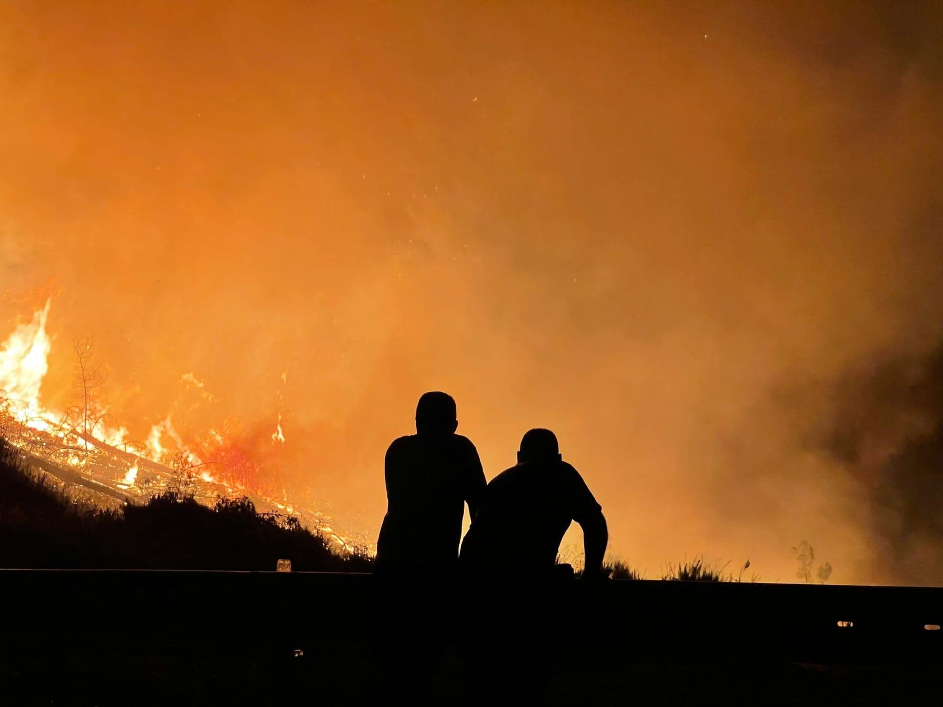 Major Wildfire Ignites in Los Angeles, Leading to Widespread Evacuations