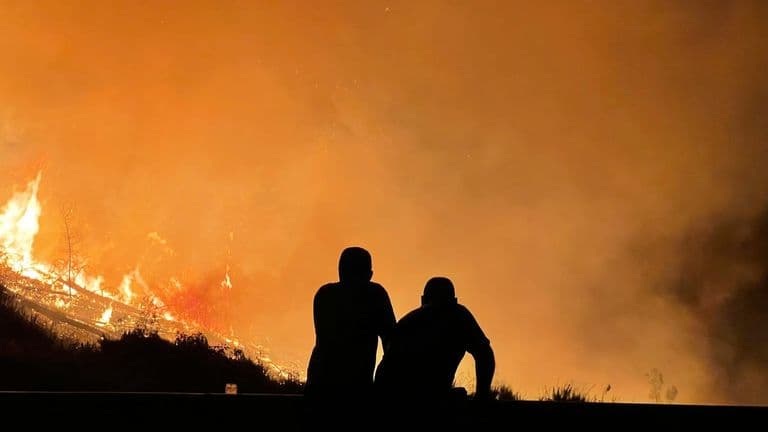 Major Wildfire Ignites in Los Angeles, Leading to Widespread Evacuations