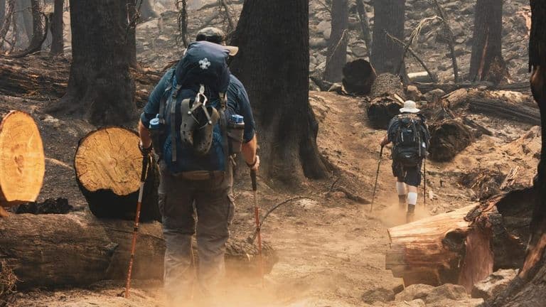 Los Angeles Enacts State of Emergency in Response to Unprecedented Wildfire Challenge – November 22, 2024