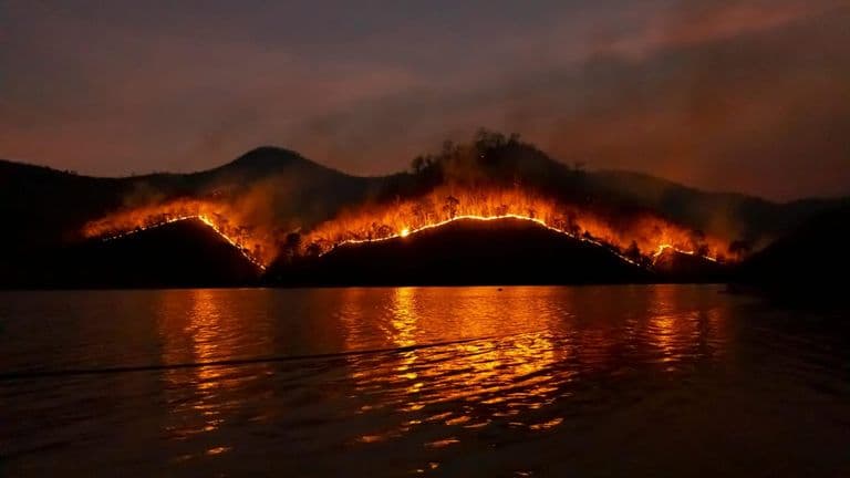 Urgent Update: Wildfire Spreads in Angeles National Forest, Endangering Surrounding Los Angeles Areas