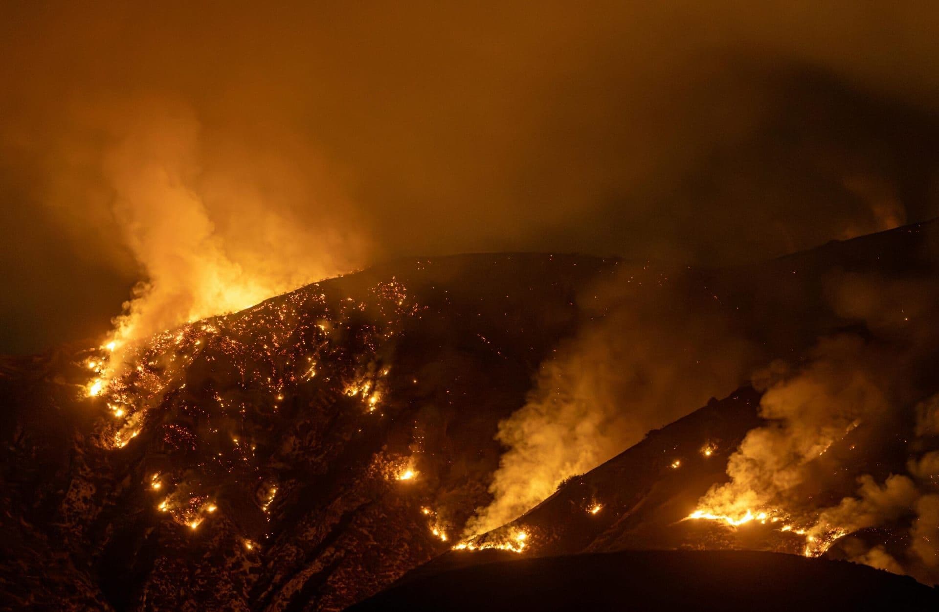 LA Declares State of Emergency Amid Unprecedented Heatwave and Wildfire Crisis