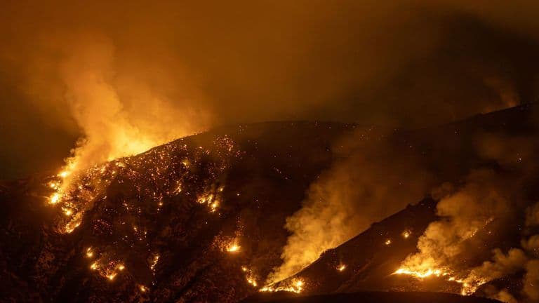 LA Declares State of Emergency Amid Unprecedented Heatwave and Wildfire Crisis