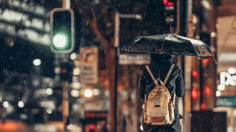 Los Angeles Issues State of Emergency Due to Historic Rainfall and Flooding Challenges