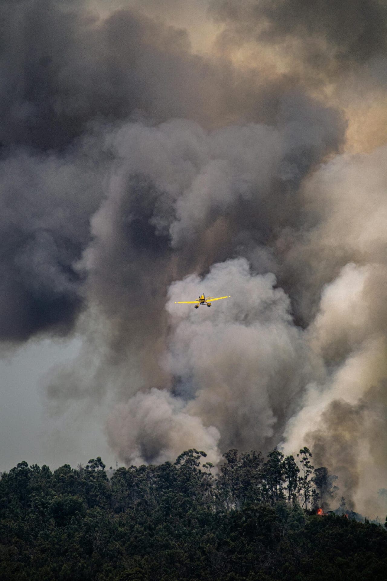 Los Angeles Issues State of Emergency Amid Unprecedented Wildfire Crisis