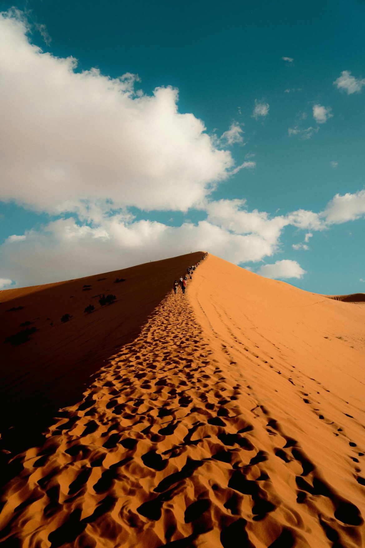 Pexels Othmane Ettalbi 2148497459 30218473