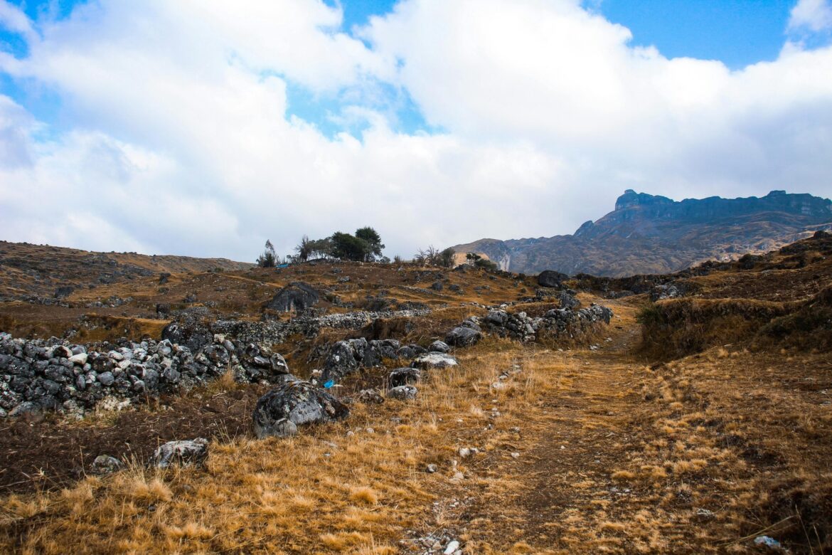 Pexels Rol Estrell 184413697 30231084