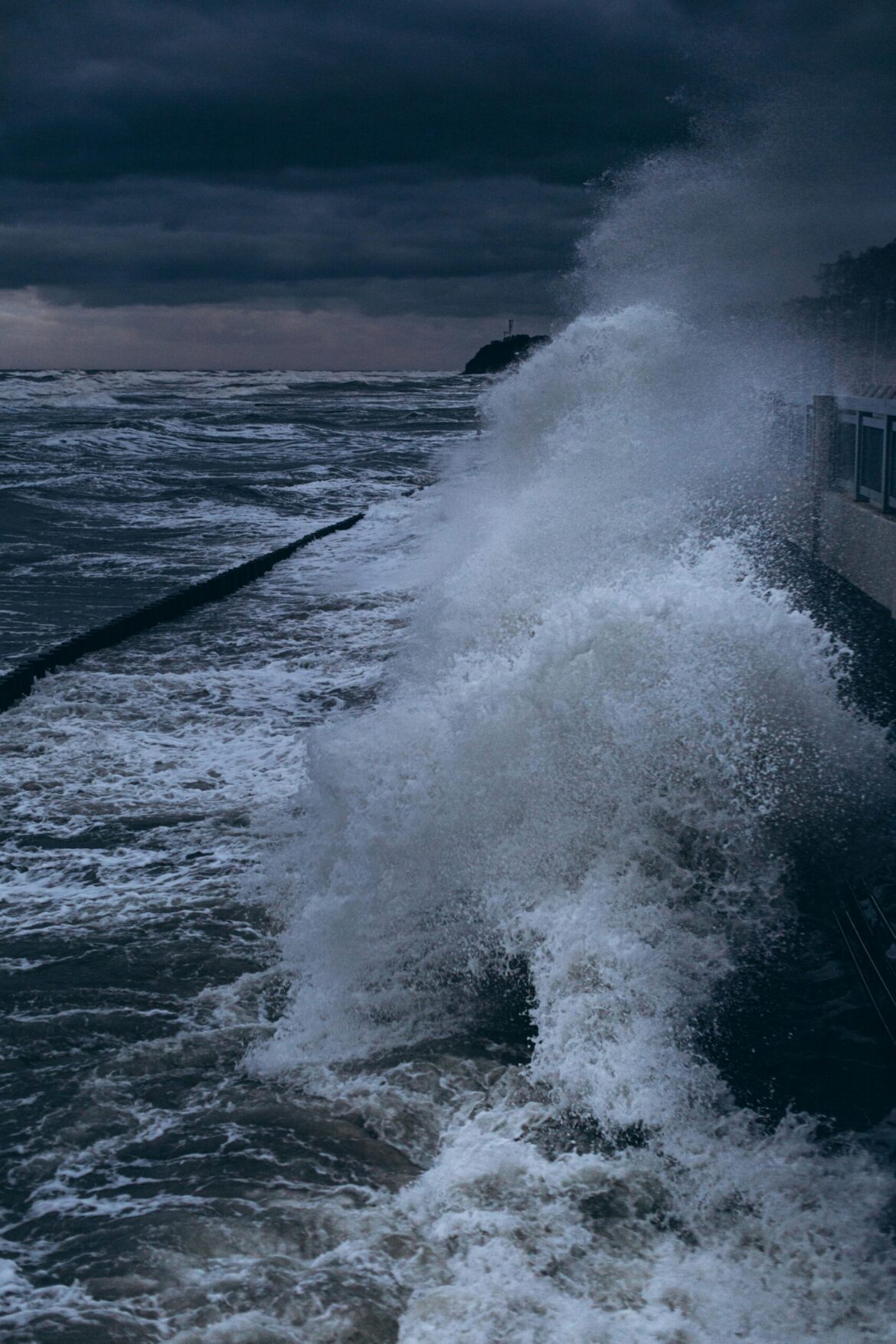 Pexels Yuraforrat 10905854